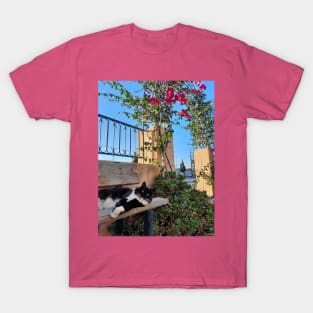 Greek cat T-Shirt